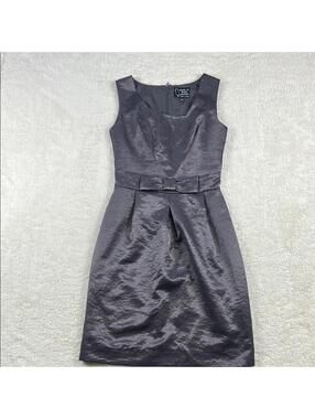 Birds of North America Women's Shimmer Silver Fit & Flare Midi Dress Sleeveless